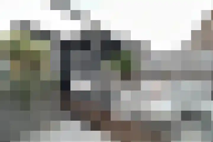 Parklaan 179 Waddinxveen thumbnail 35