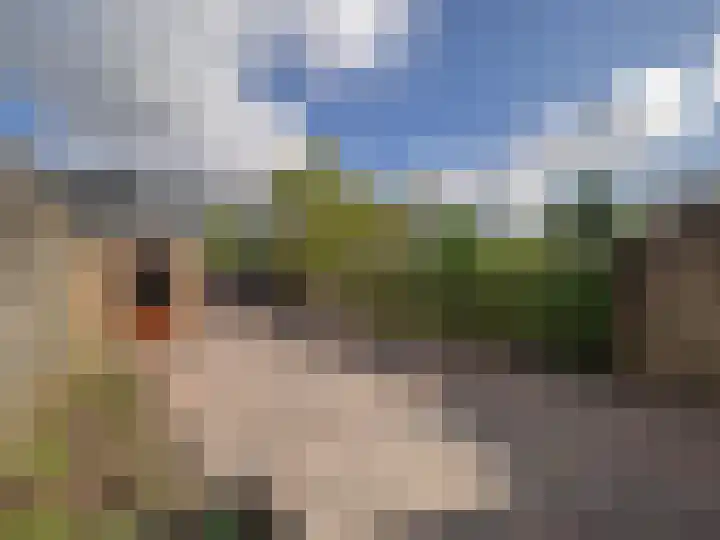 Parklaan 18 Wassenaar thumbnail 30