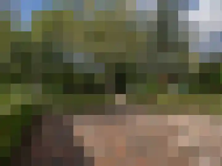 Parklaan 18 Wassenaar thumbnail 32