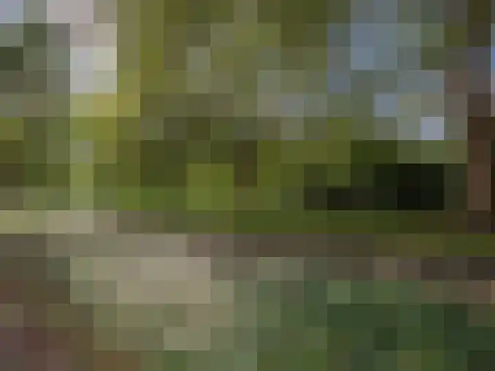 Parklaan 18 Wassenaar thumbnail 35