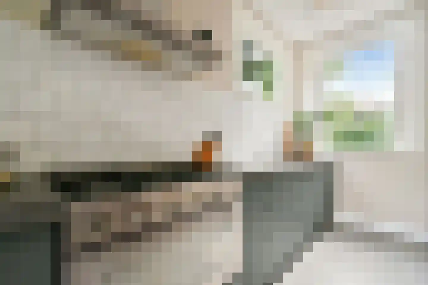 Parklaan 18 Zaandijk thumbnail 17