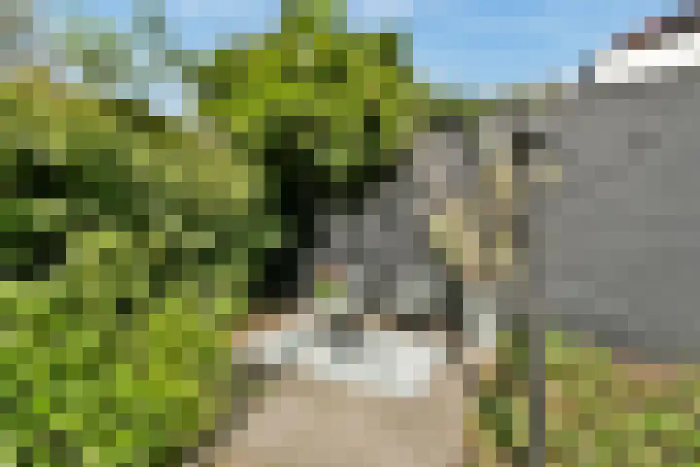 Parklaan 18 Zaandijk thumbnail 21