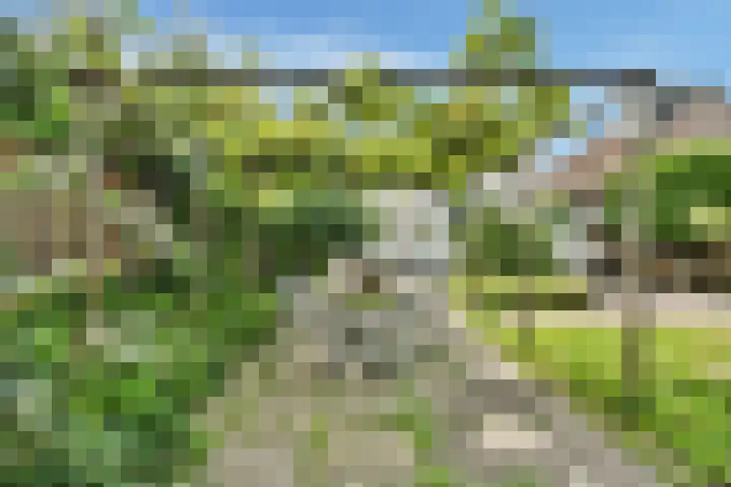 Parklaan 18 Zaandijk thumbnail 22