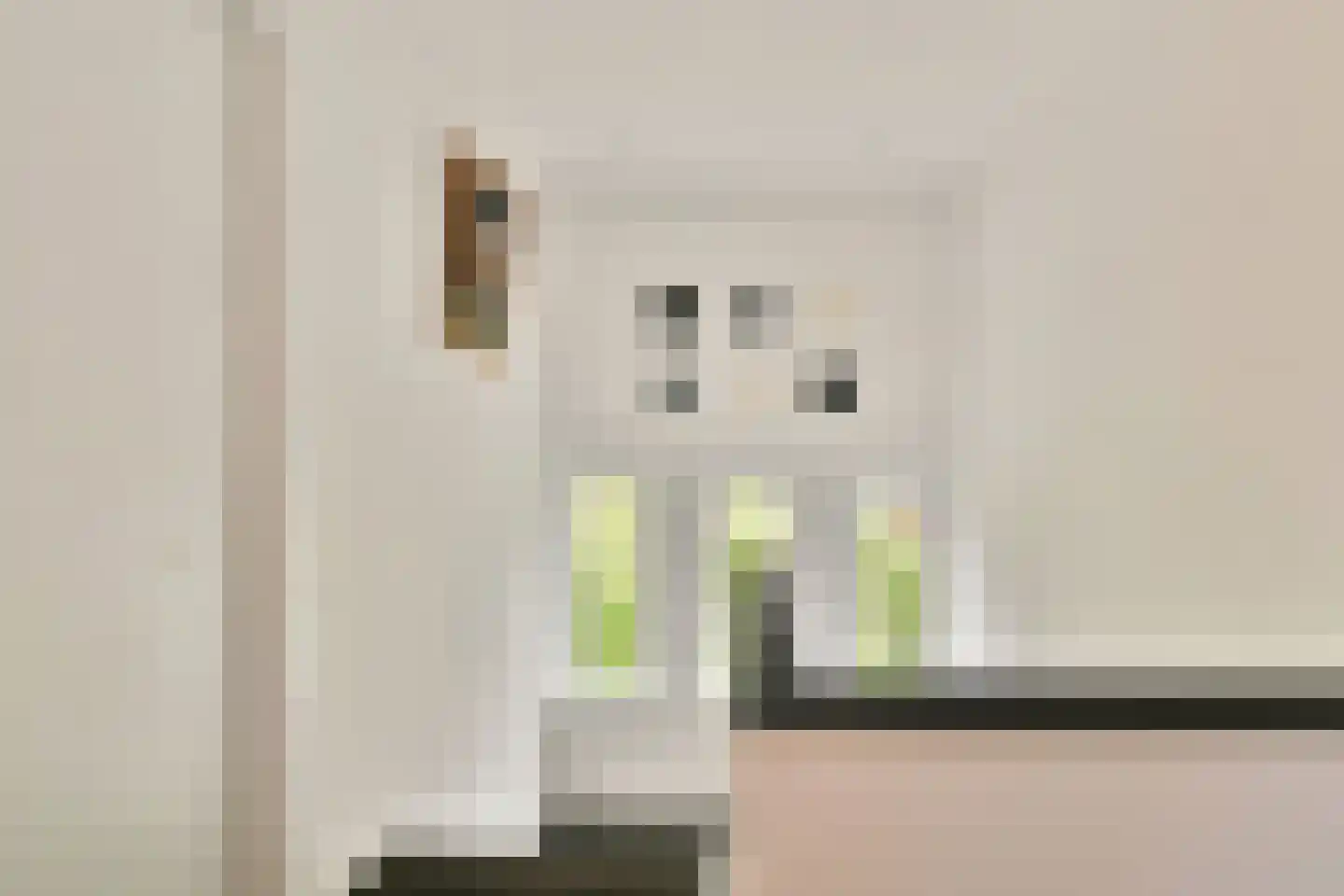 Parklaan 18 Zaandijk thumbnail 28