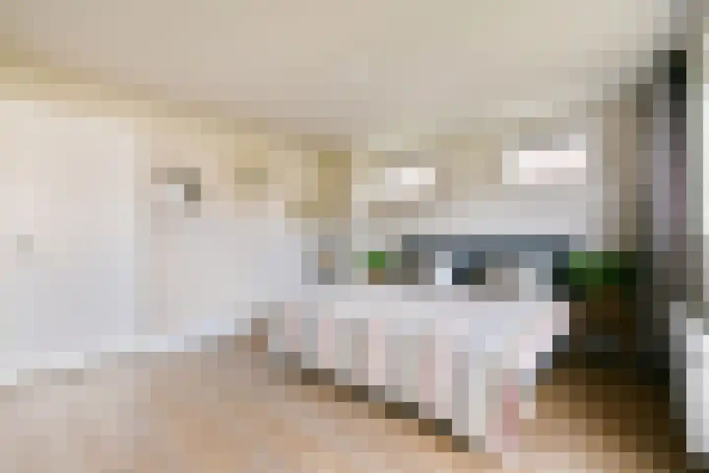 Parklaan 18 Zaandijk thumbnail 29