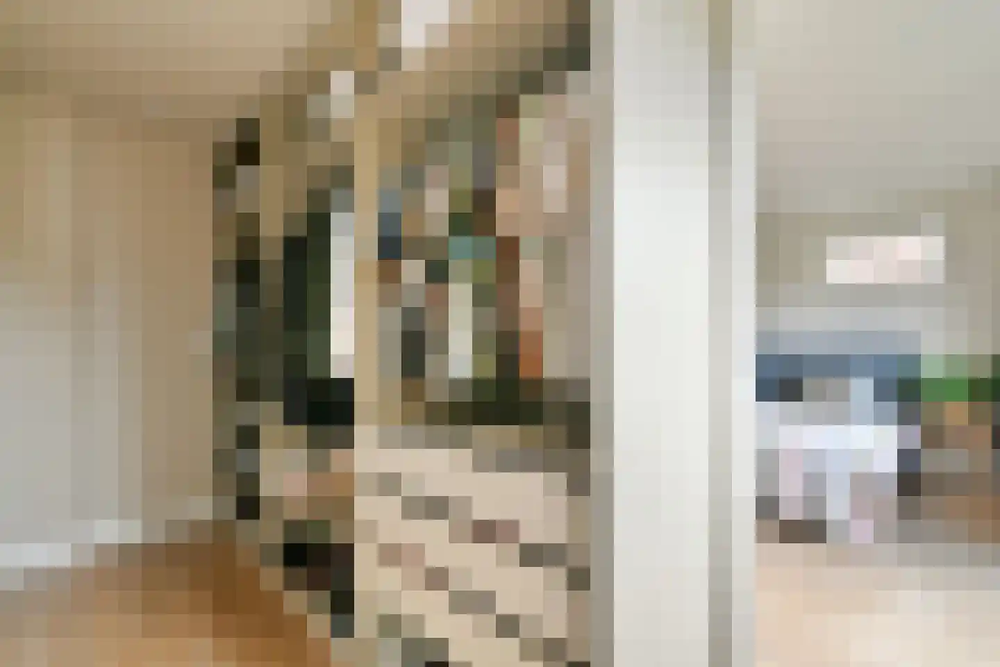 Parklaan 18 Zaandijk thumbnail 32