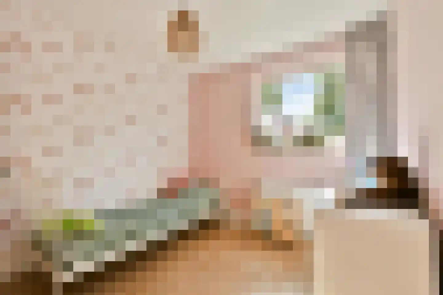Parklaan 18 Zaandijk thumbnail 36