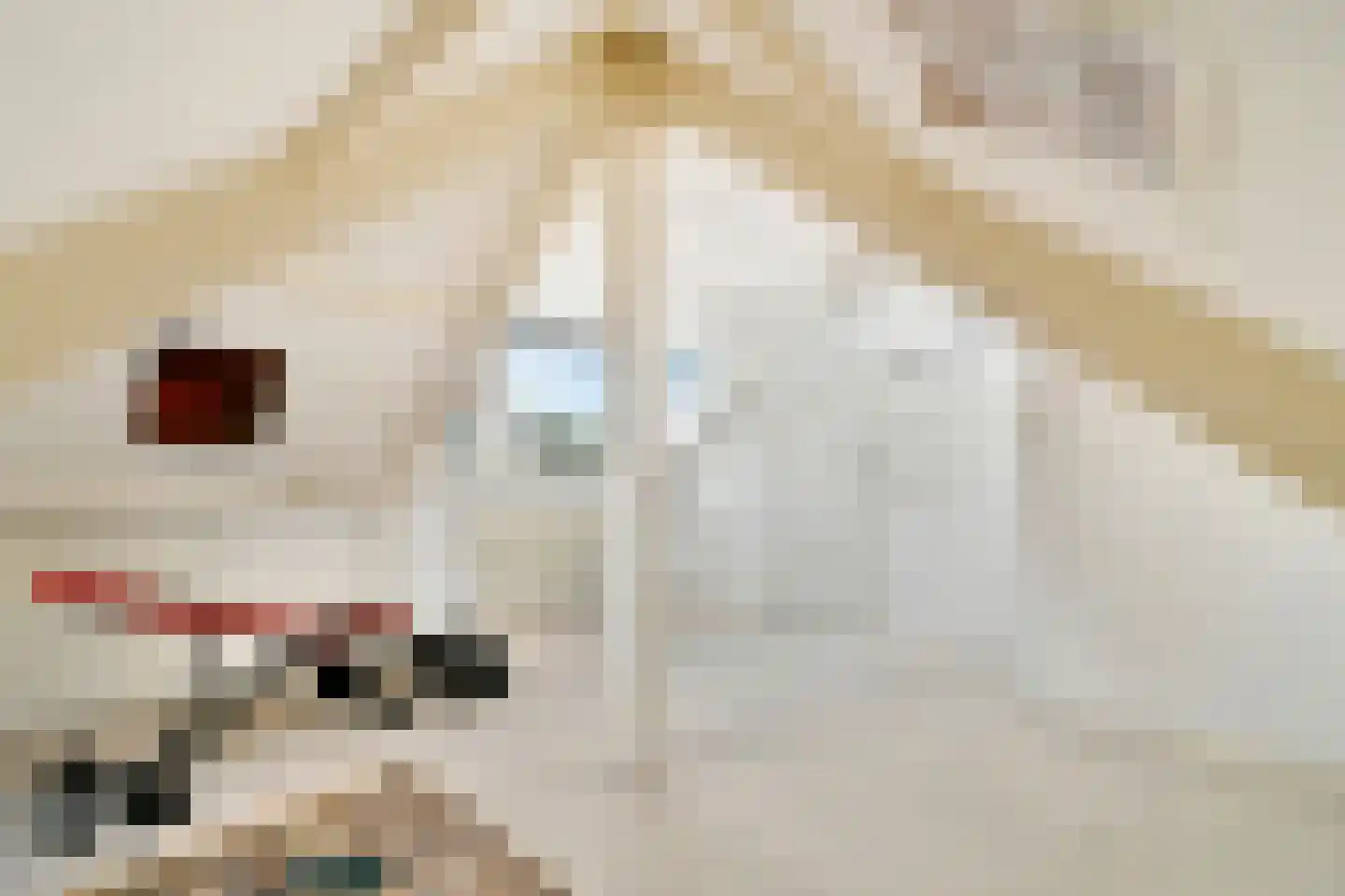 Parklaan 18 Zaandijk thumbnail 43