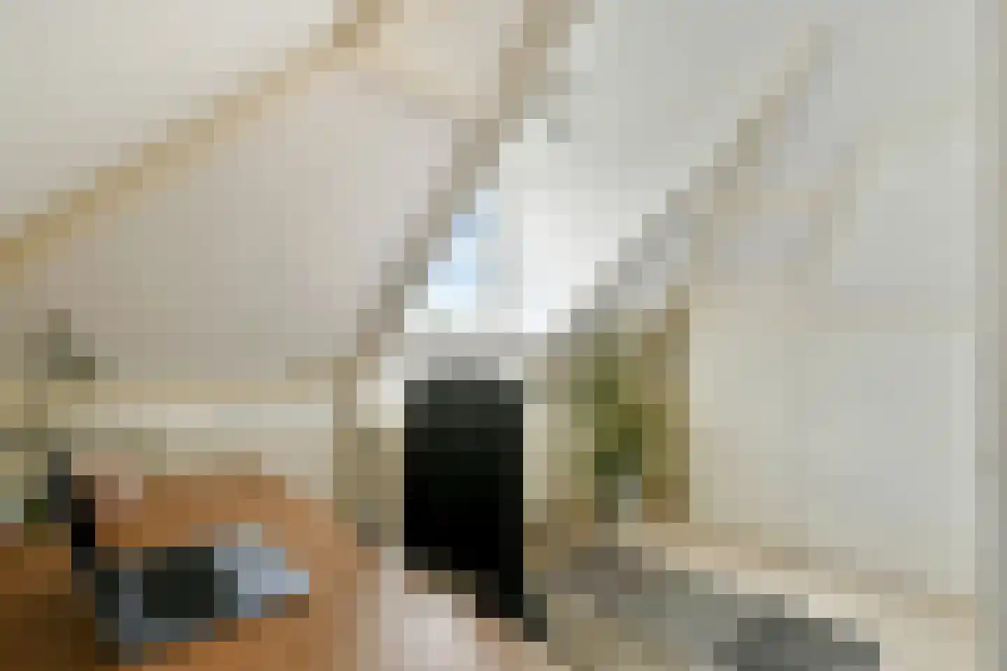 Parklaan 18 Zaandijk thumbnail 44