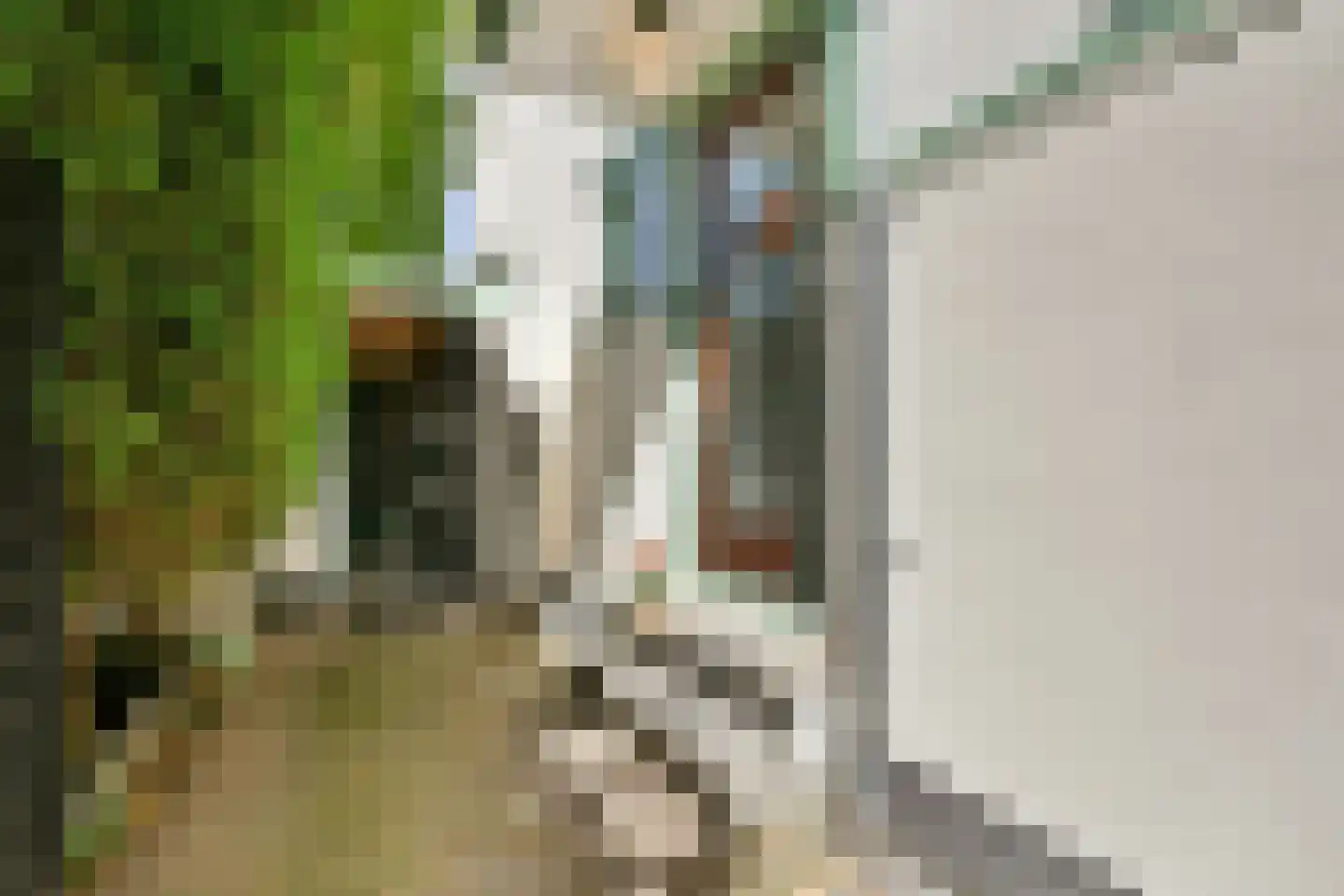 Parklaan 18 Zaandijk thumbnail 6