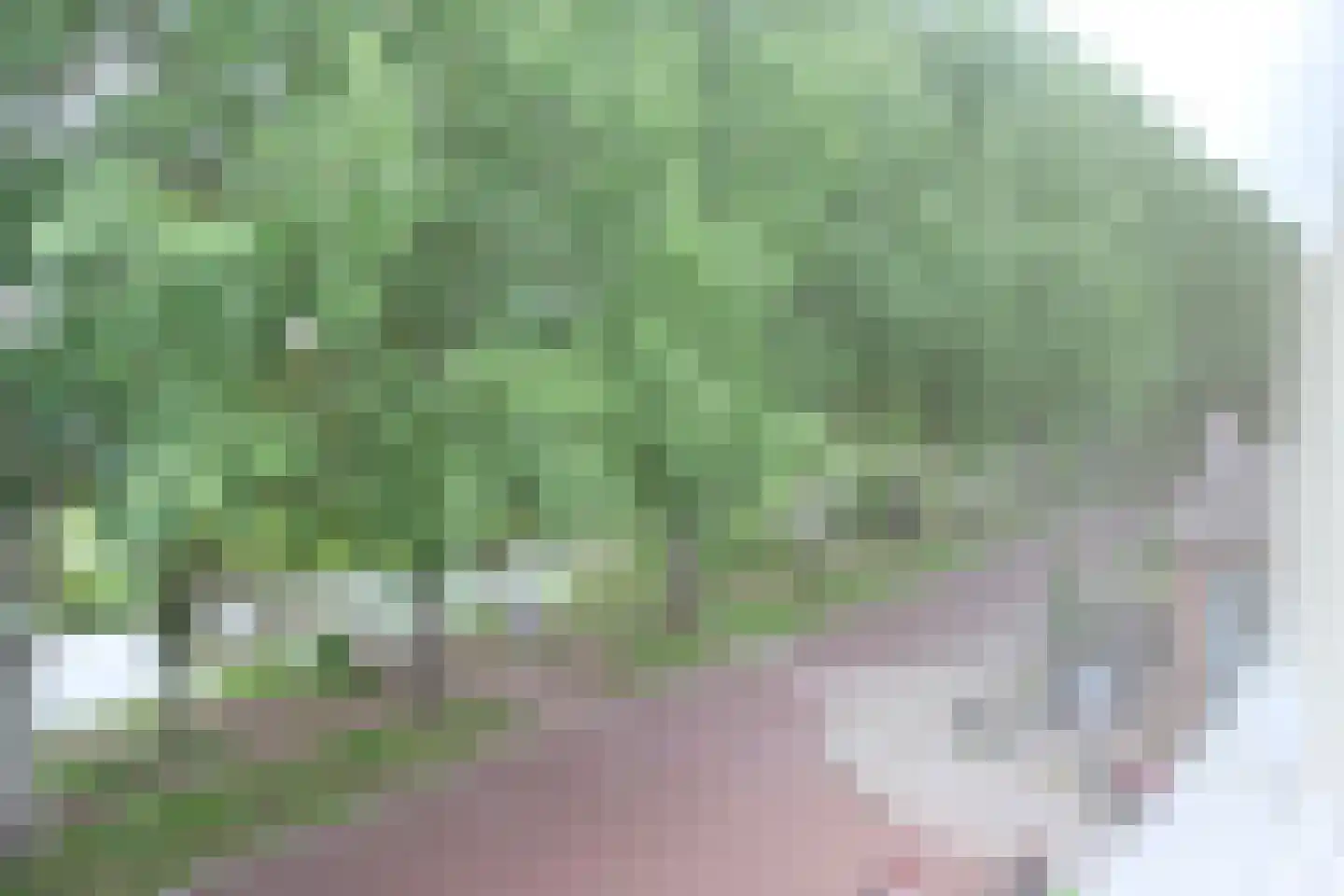 Parklaan 185 Culemborg thumbnail 12