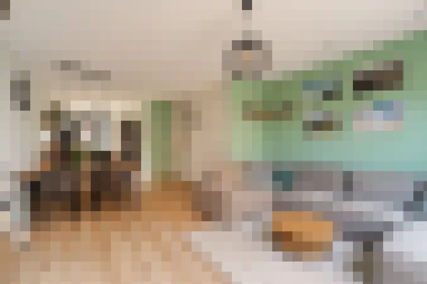 Parklaan 185 Waddinxveen thumbnail 11