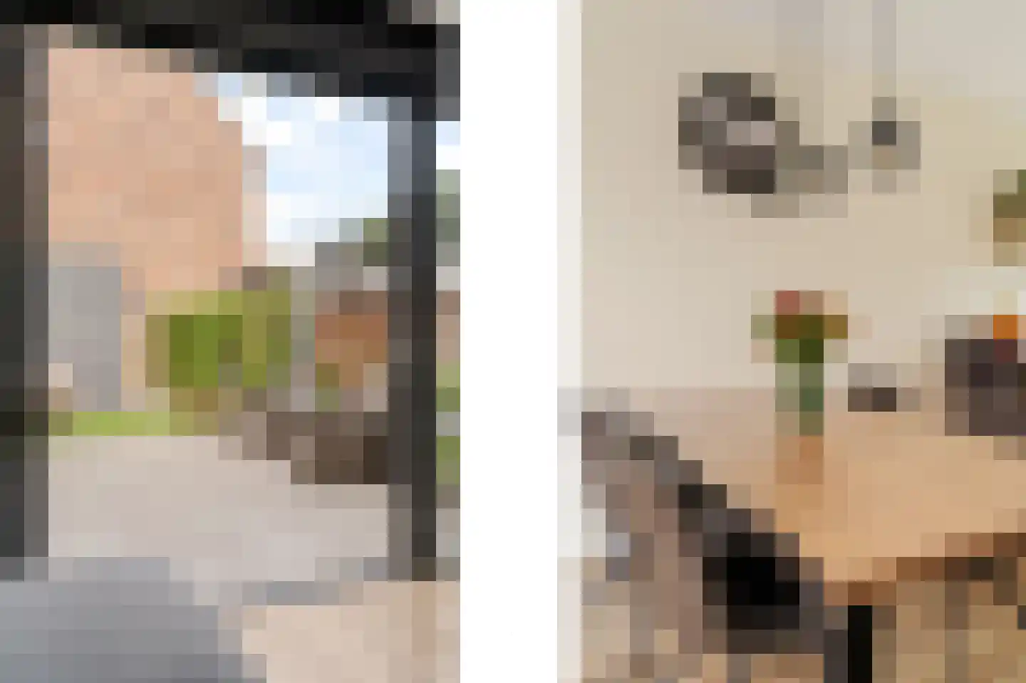 Parklaan 185 Waddinxveen thumbnail 12
