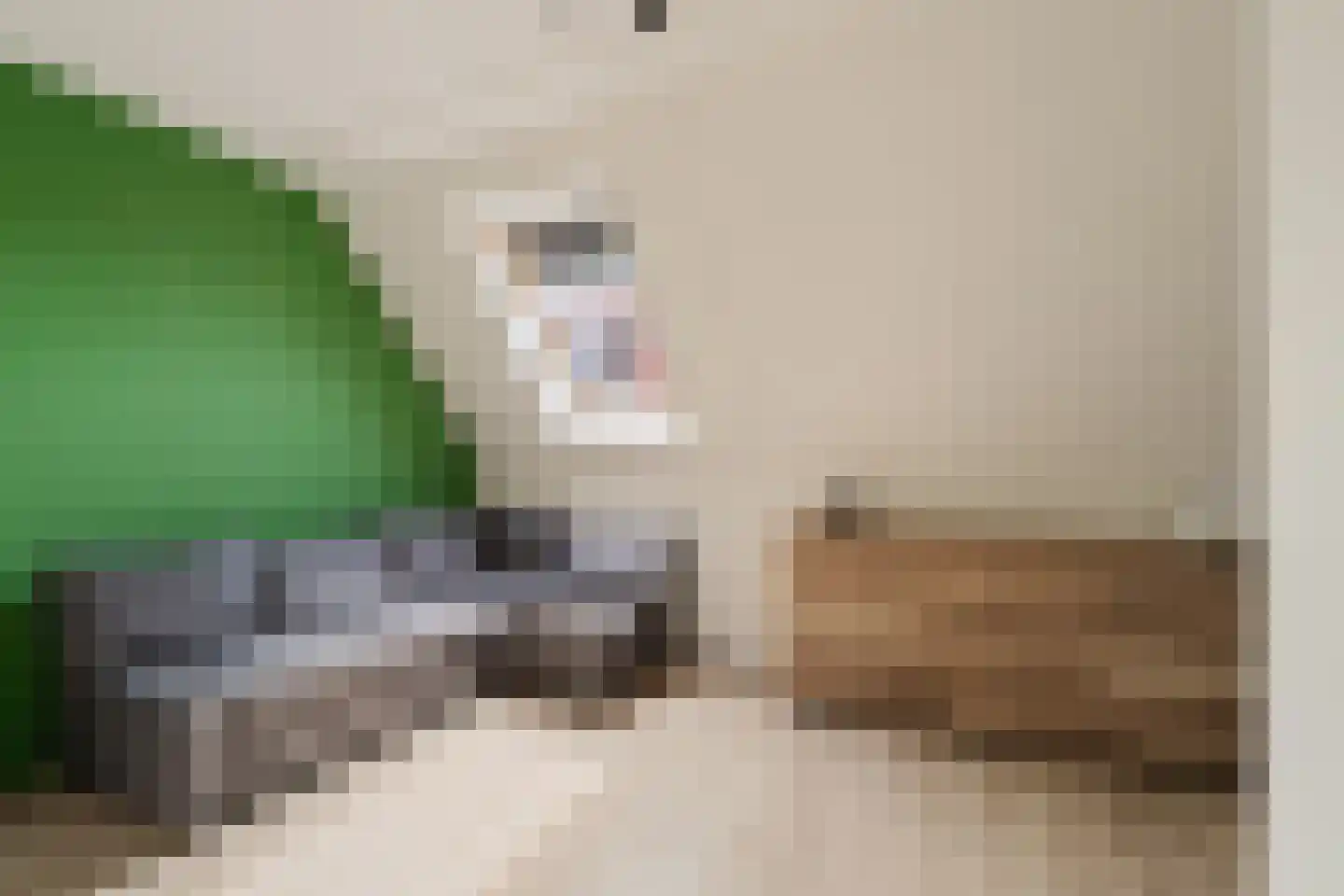 Parklaan 185 Waddinxveen thumbnail 25