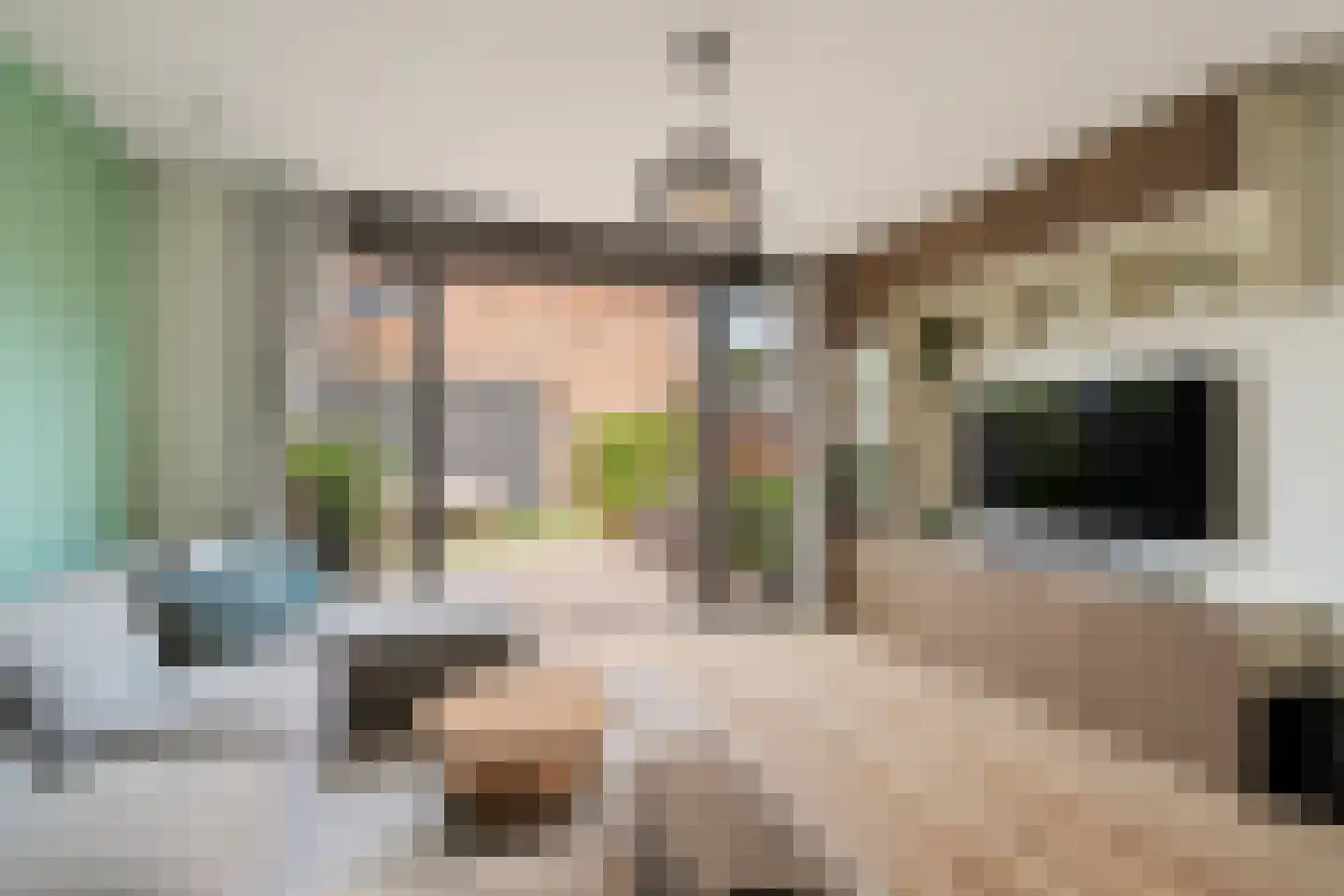 Parklaan 185 Waddinxveen thumbnail 9