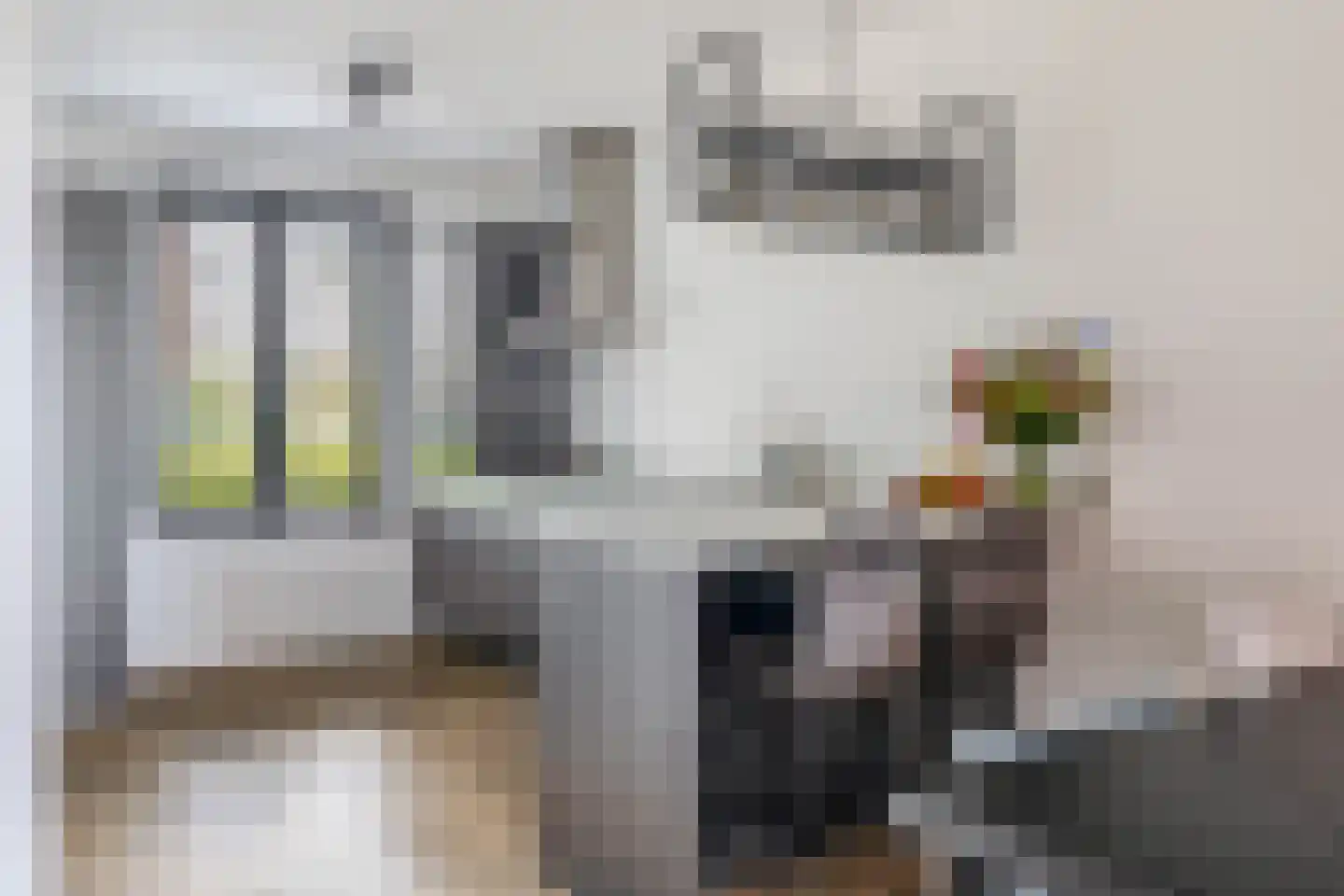 Parklaan 187 Waddinxveen thumbnail 4
