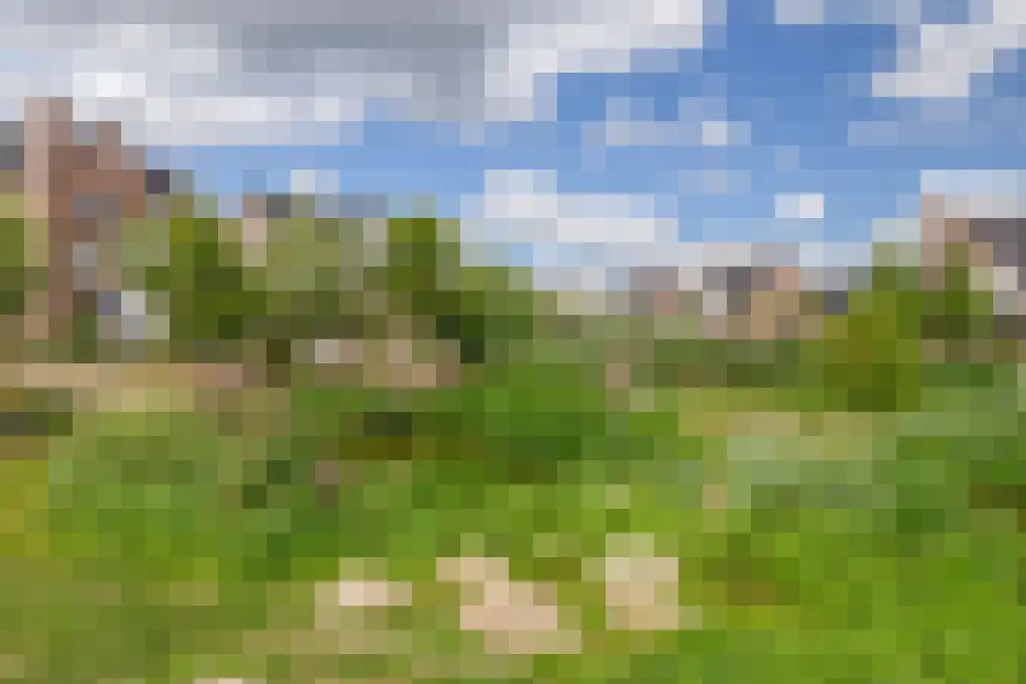 Parklaan 187 Waddinxveen thumbnail 40
