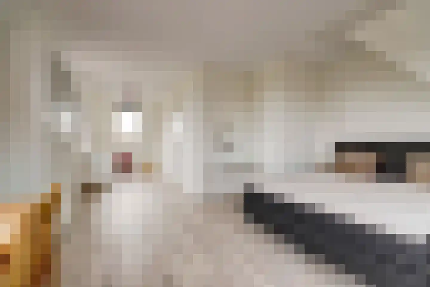 Parklaan 189 Waddinxveen thumbnail 27