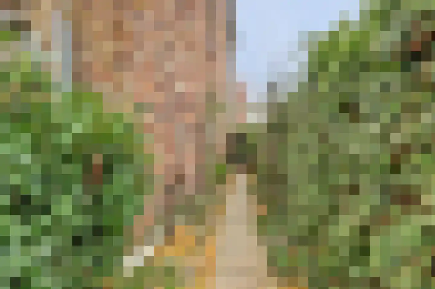 Parklaan 189 Waddinxveen thumbnail 34