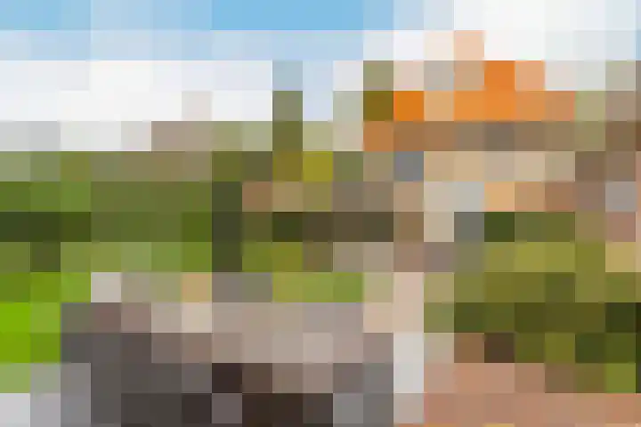 Parklaan 19 Driebergen-Rijsenburg thumbnail 39