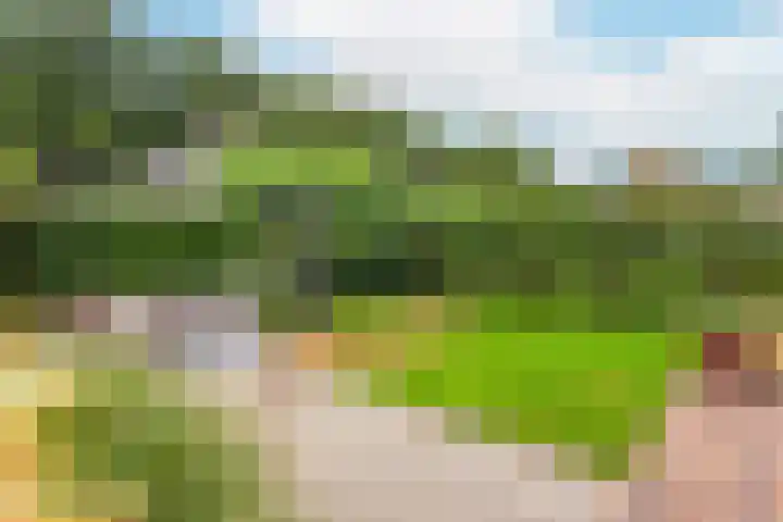 Parklaan 19 Driebergen-Rijsenburg thumbnail 4