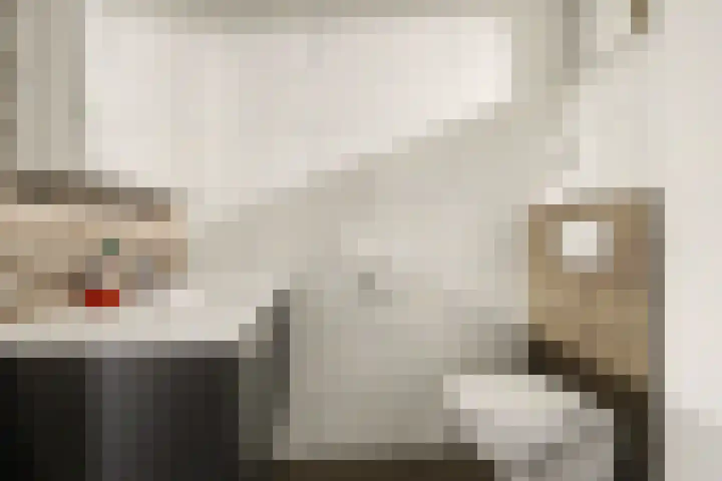 Parklaan 19 Putte thumbnail 21