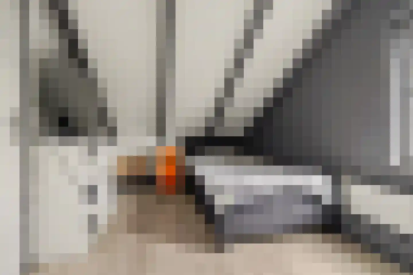 Parklaan 19 Putte thumbnail 25