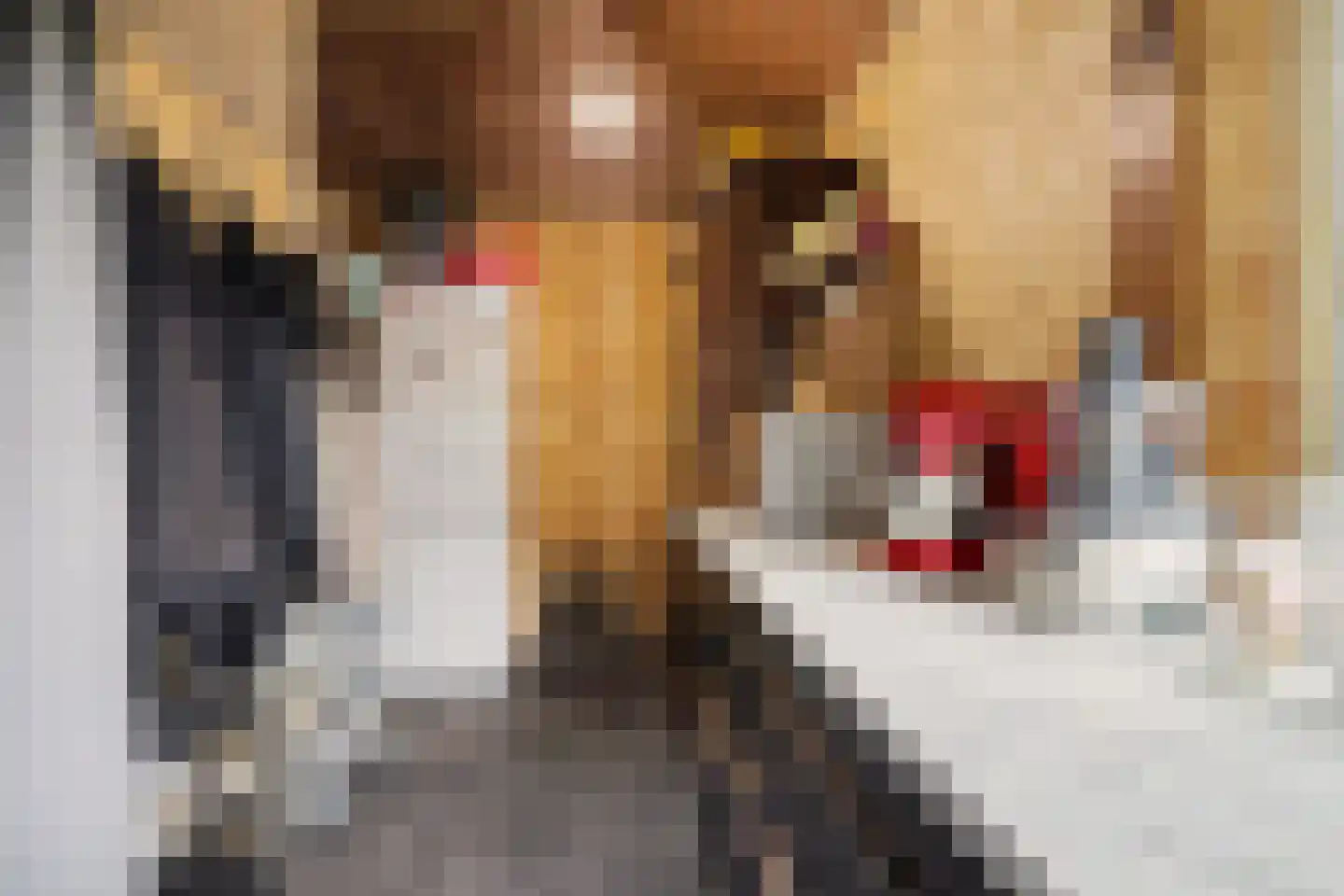 Parklaan 19 Putte thumbnail 29