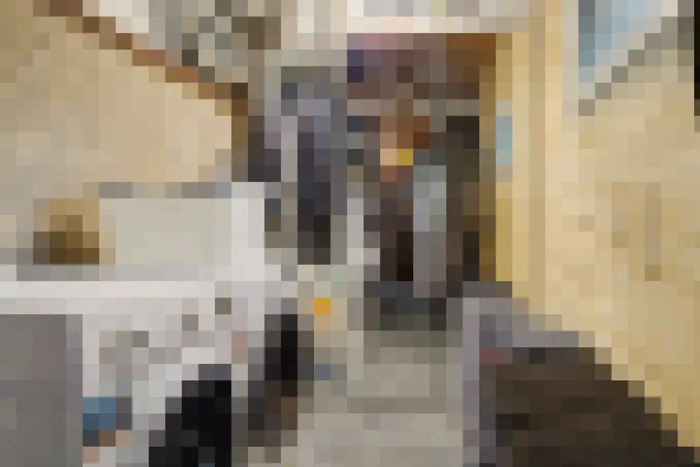 Parklaan 19 Putte thumbnail 31