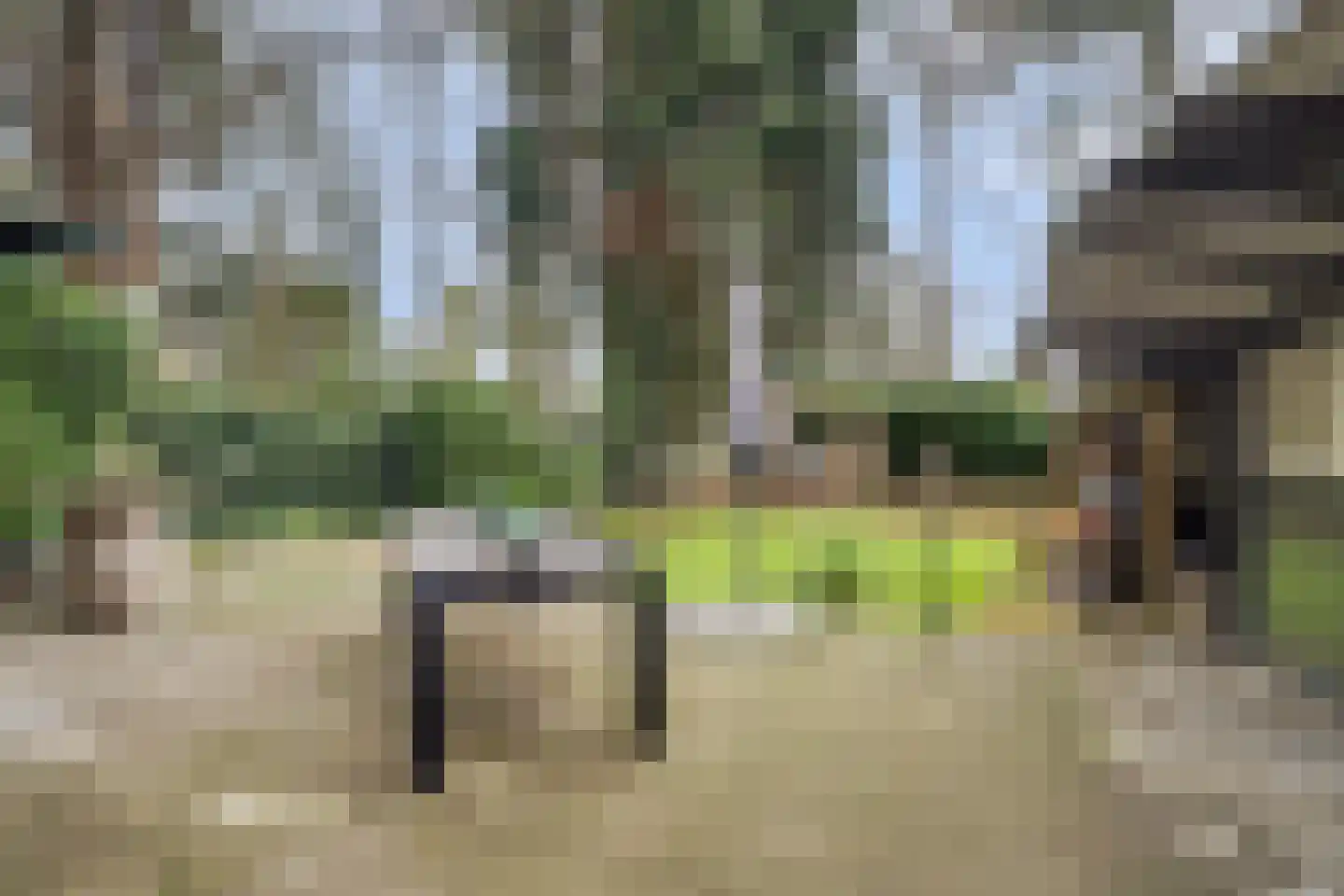 Parklaan 19 Putte thumbnail 32