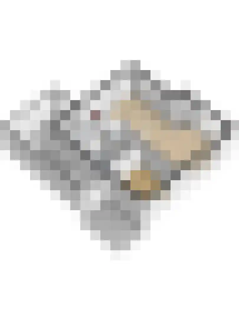 Parklaan 19 Putte thumbnail 42