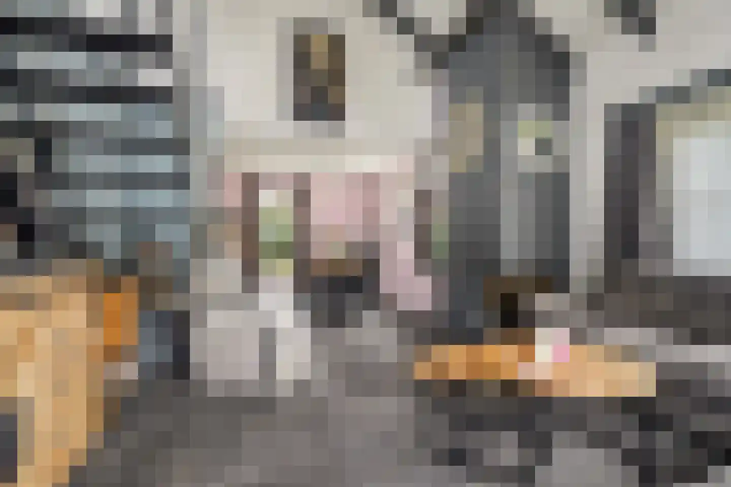 Parklaan 19 Putte thumbnail 6