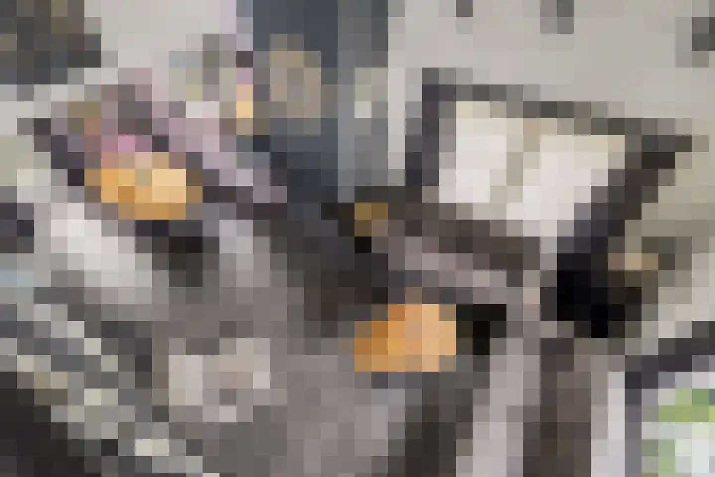 Parklaan 19 Putte thumbnail 7