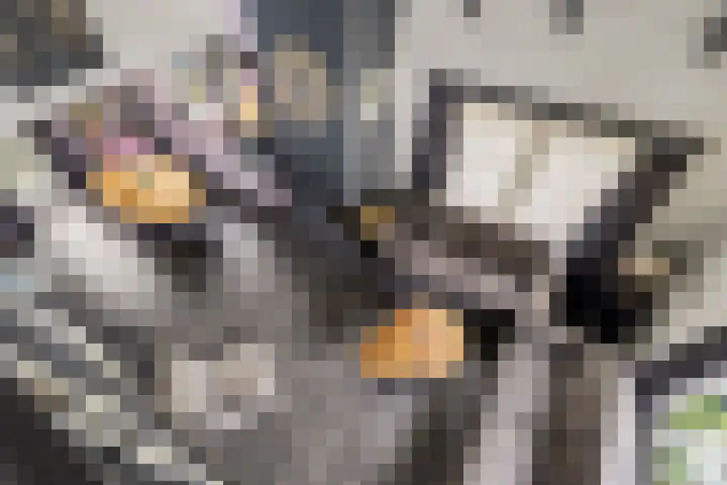 Parklaan 19 Putte thumbnail 7