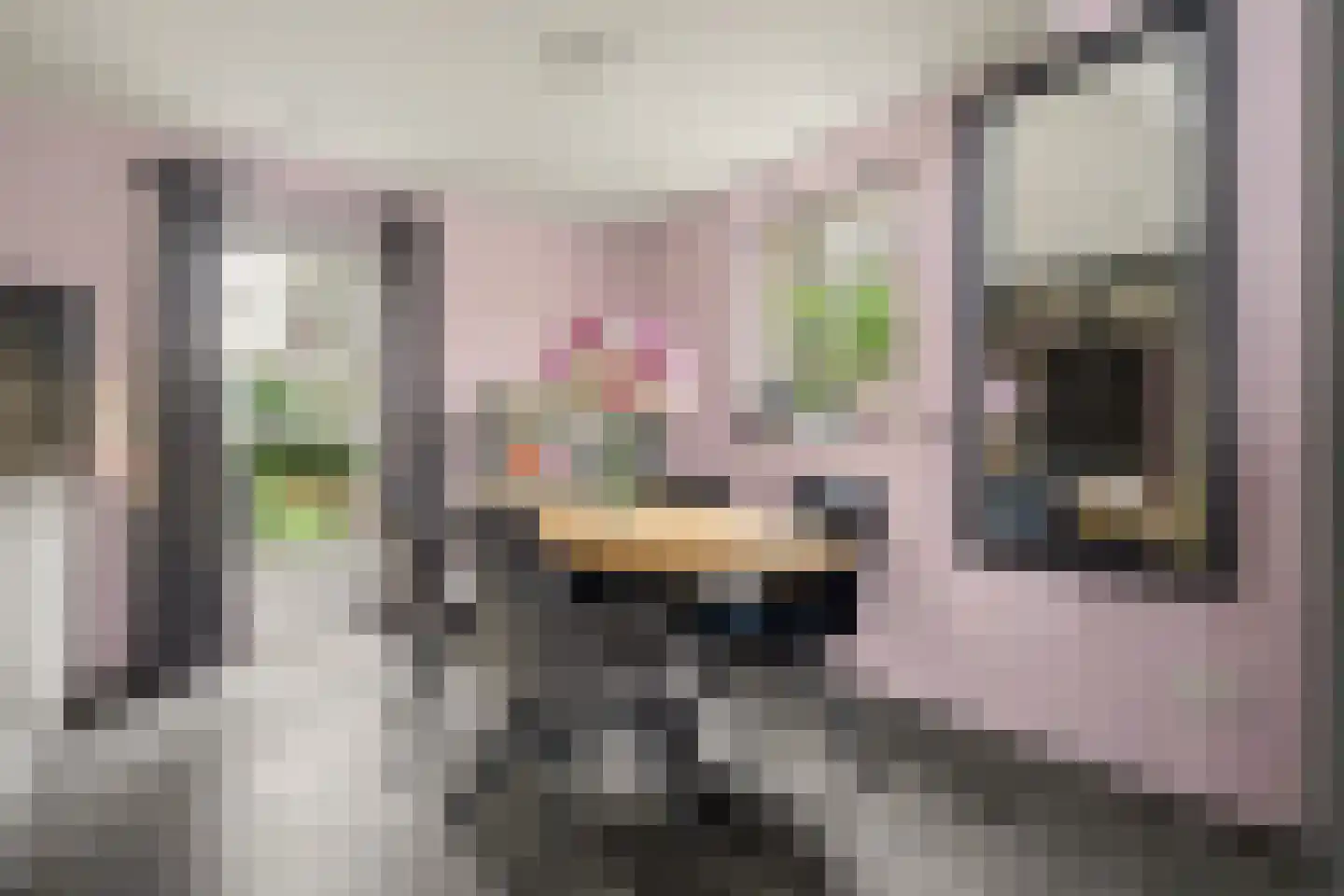 Parklaan 19 Putte thumbnail 9