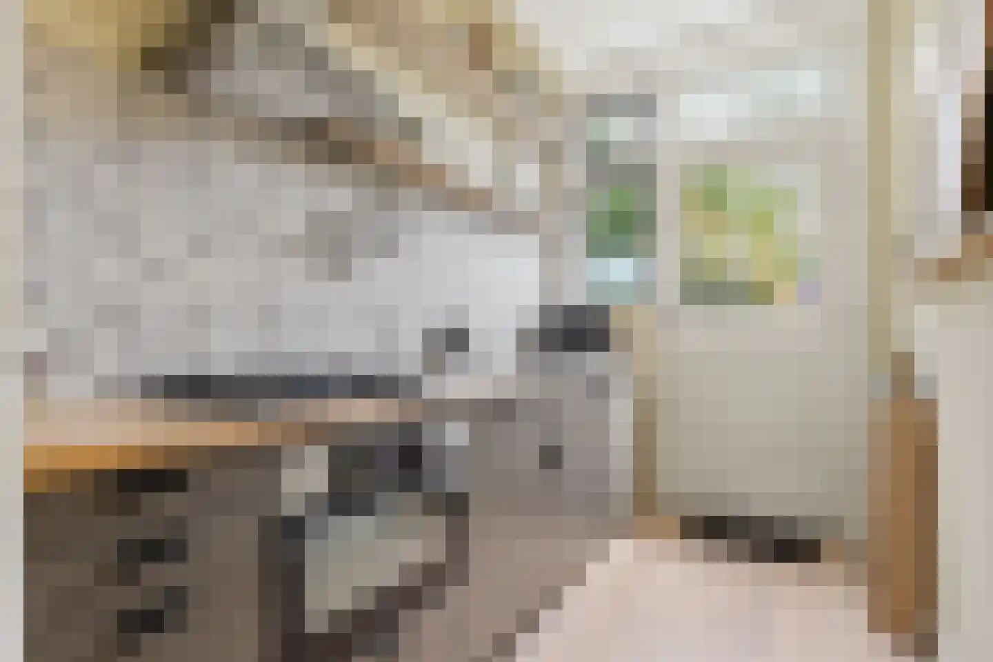 Parklaan 2 A Zaandijk thumbnail 13