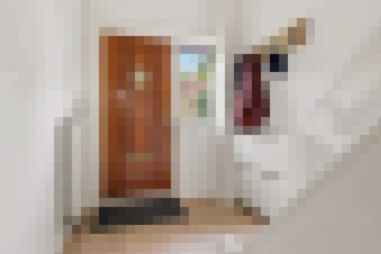 Parklaan 2 A Zaandijk thumbnail 17