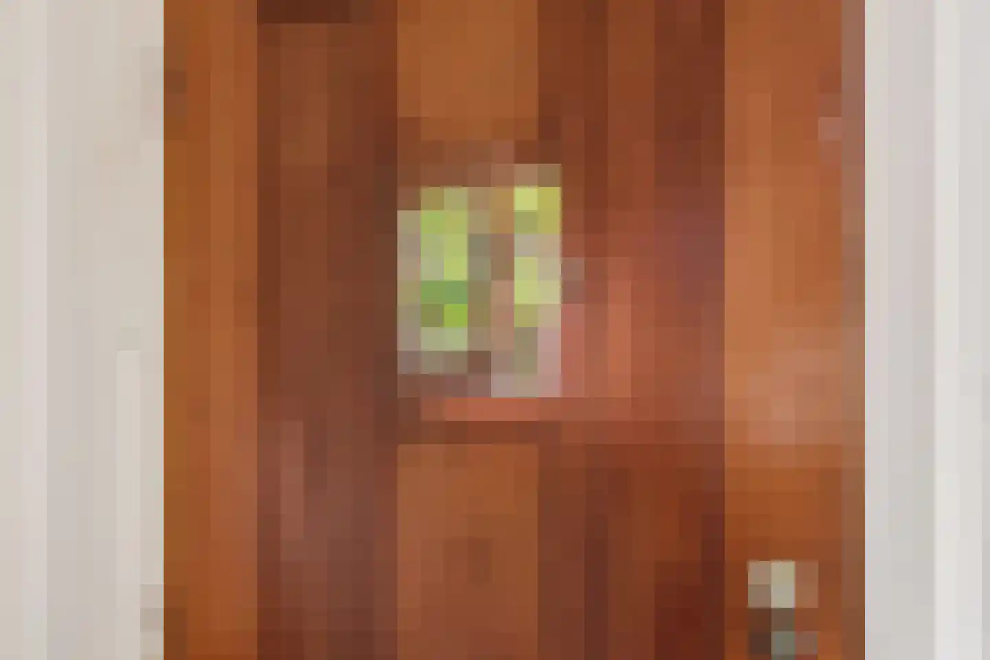 Parklaan 2 A Zaandijk thumbnail 18