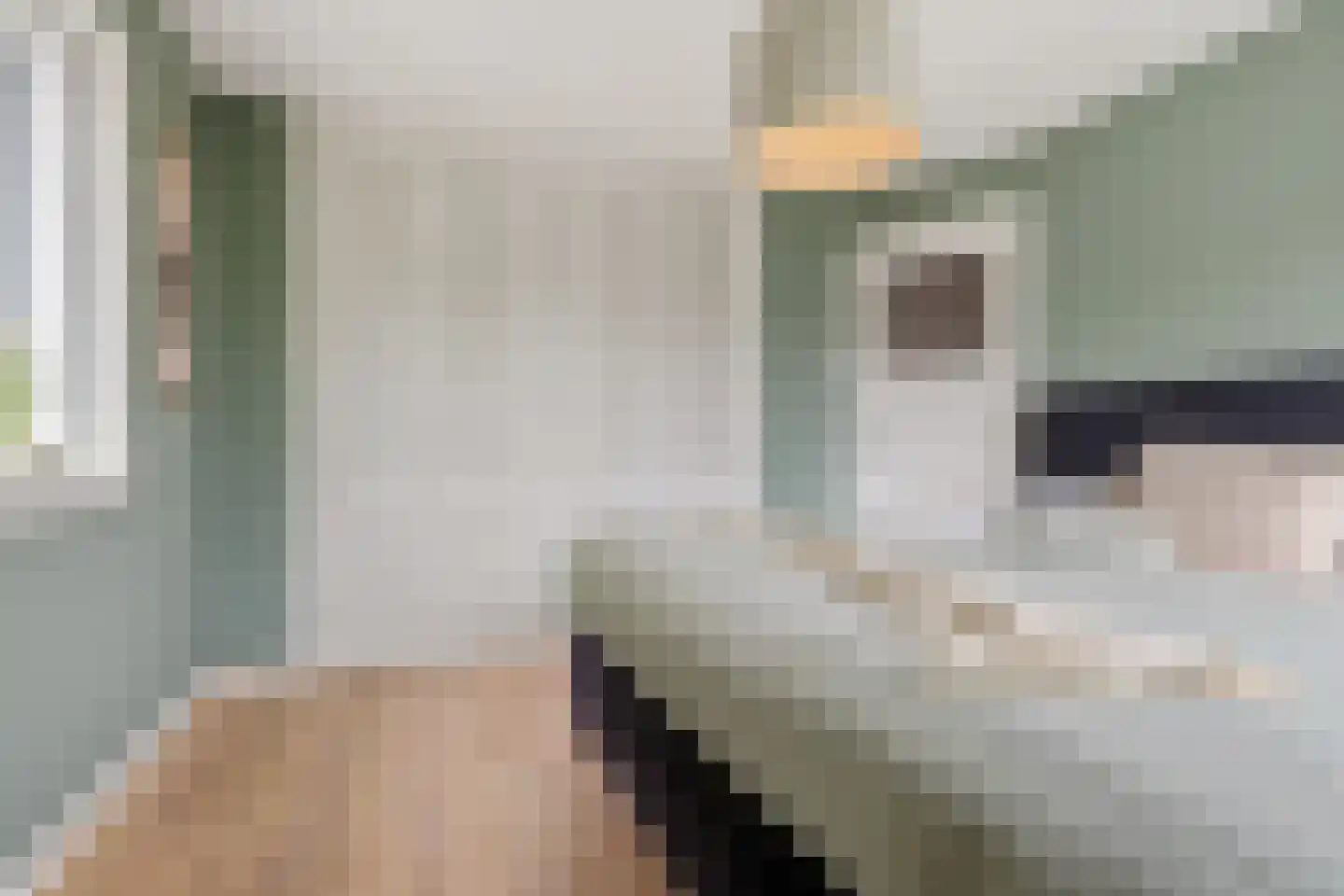 Parklaan 2 A Zaandijk thumbnail 22