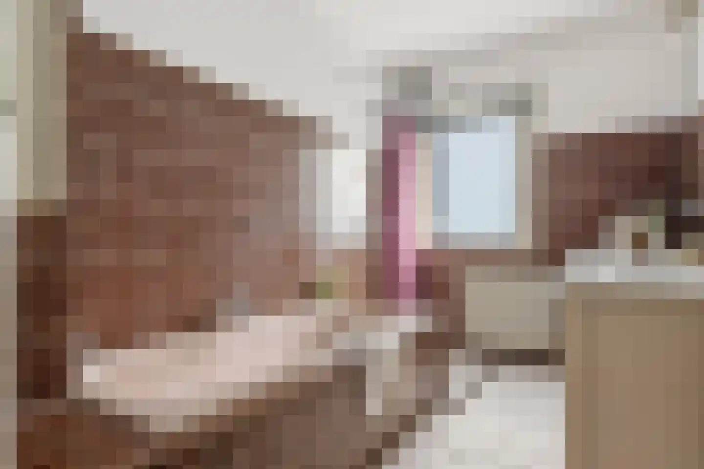 Parklaan 2 A Zaandijk thumbnail 29