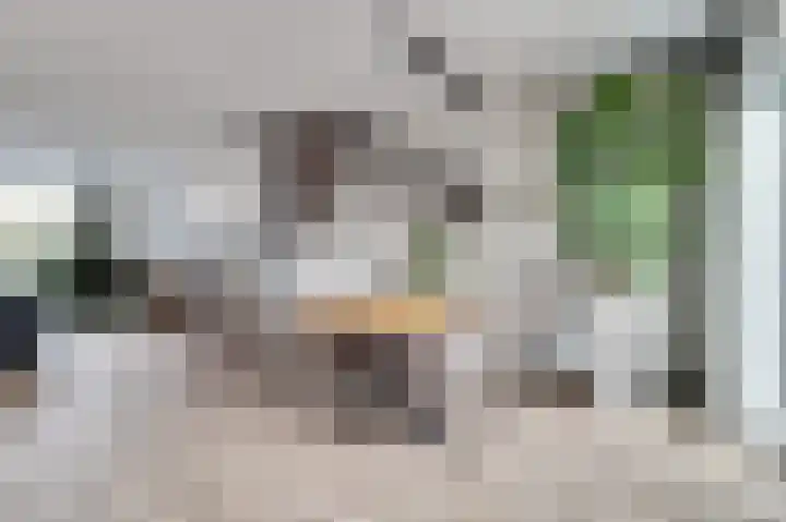 Parklaan 2 Kapelle thumbnail 13