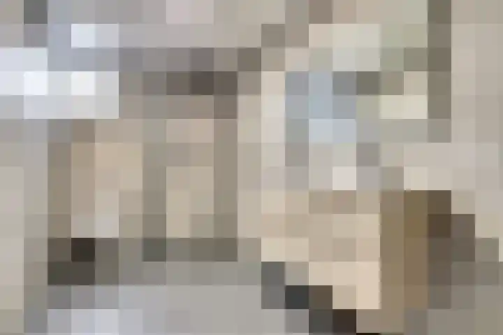Parklaan 2 Kapelle thumbnail 26