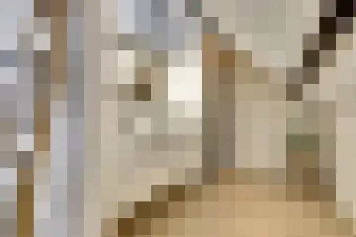 Parklaan 2 Kapelle thumbnail 31