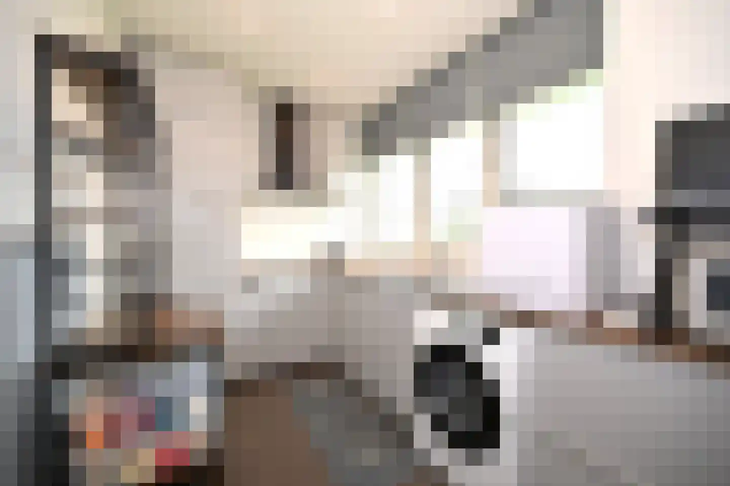 Parklaan 2 Nuth thumbnail 19
