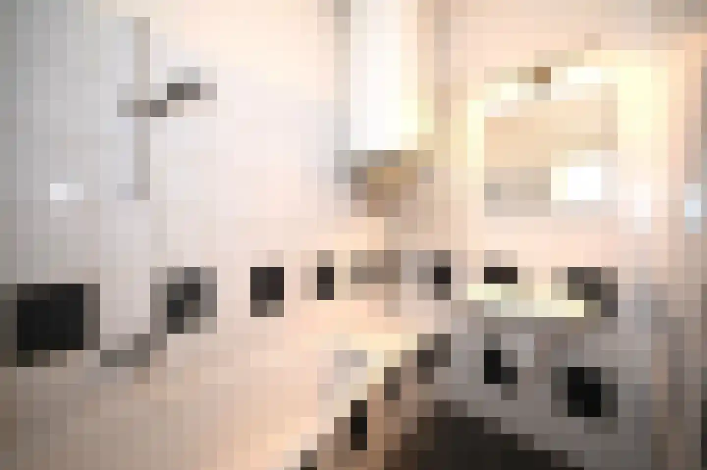 Parklaan 2 Nuth thumbnail 25