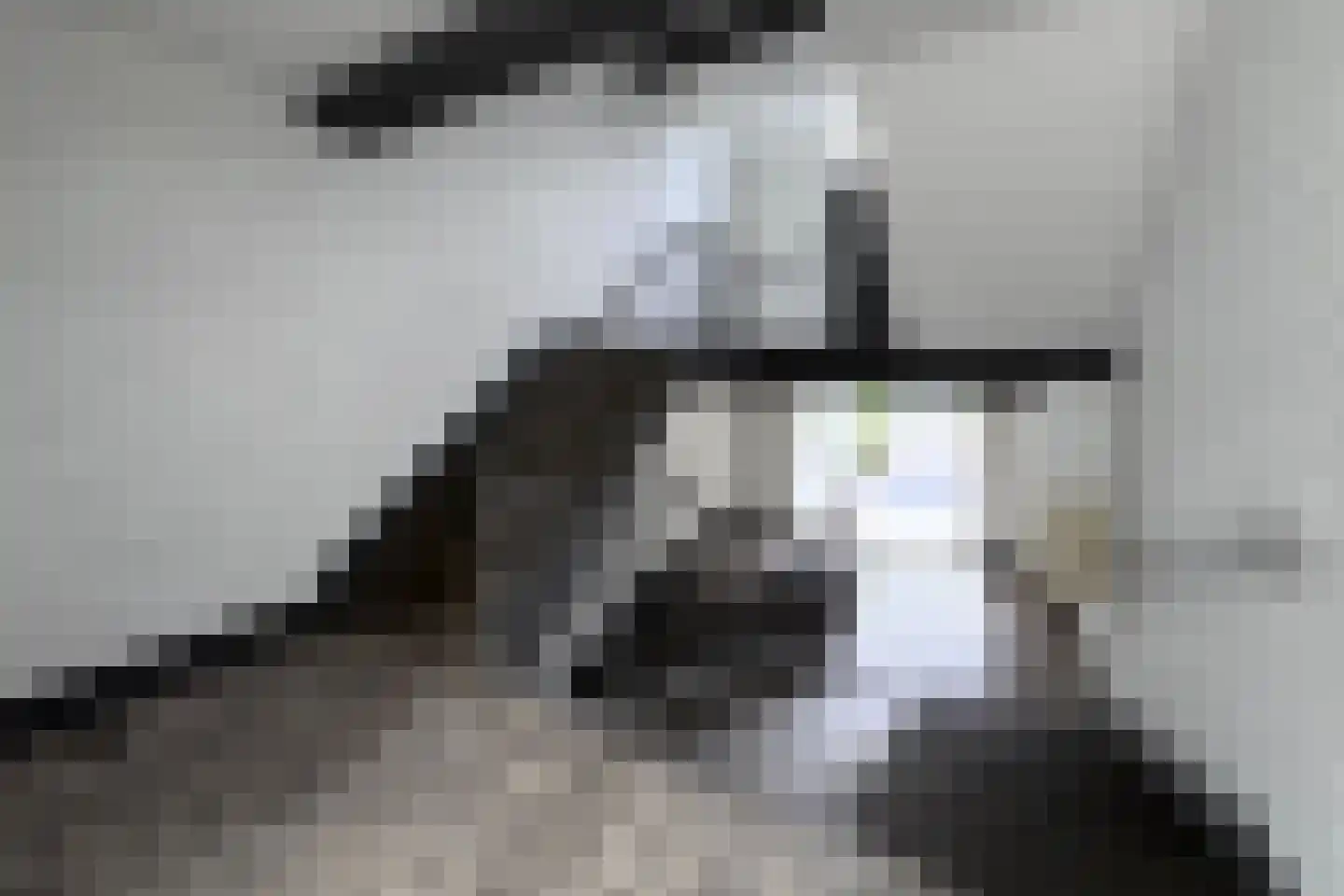Parklaan 2 Nuth thumbnail 8