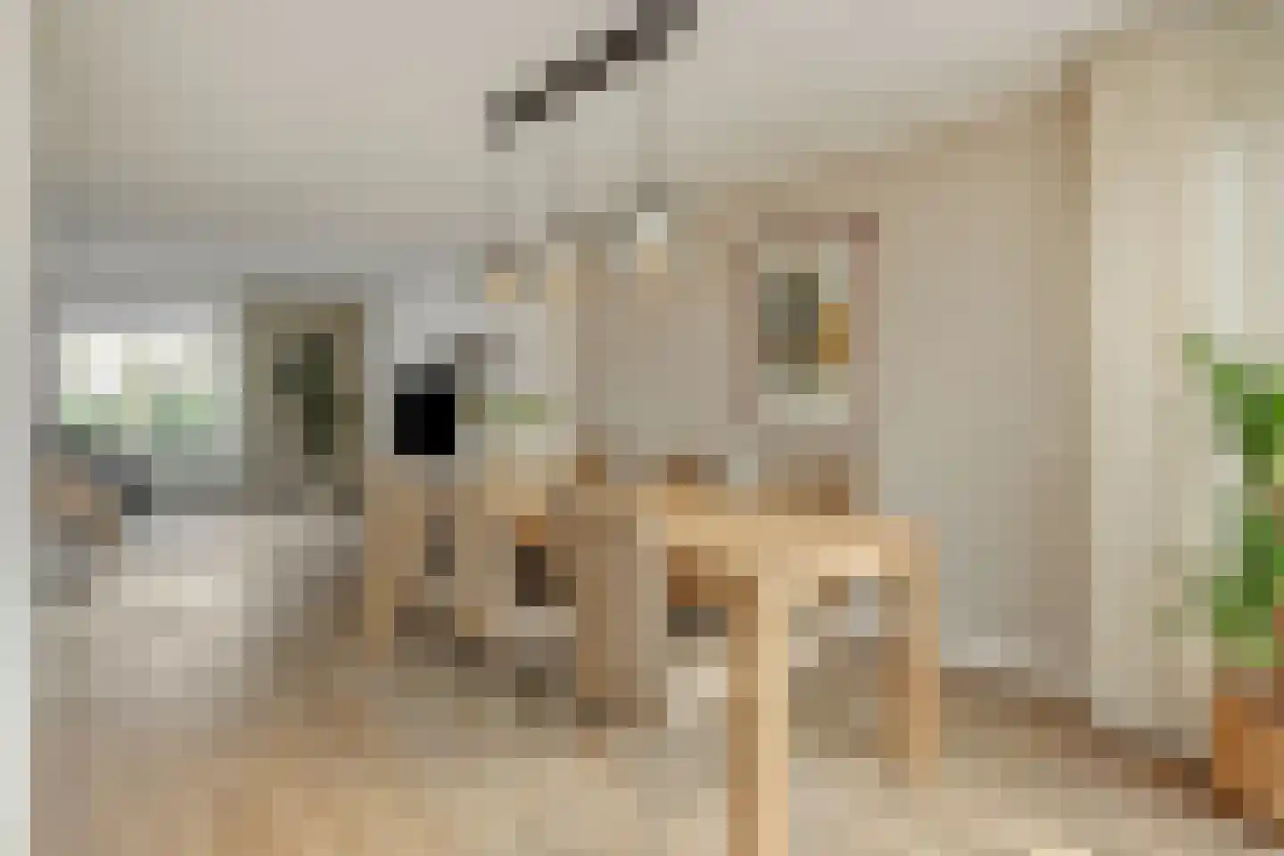 Parklaan 2 Oss thumbnail 10