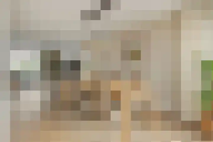 Parklaan 2 Oss thumbnail 10