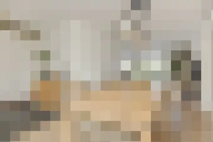 Parklaan 2 Oss thumbnail 11