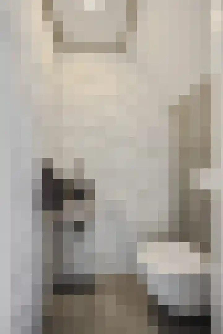 Parklaan 2 Oss thumbnail 13